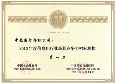 2010年信息化行业（第一名）